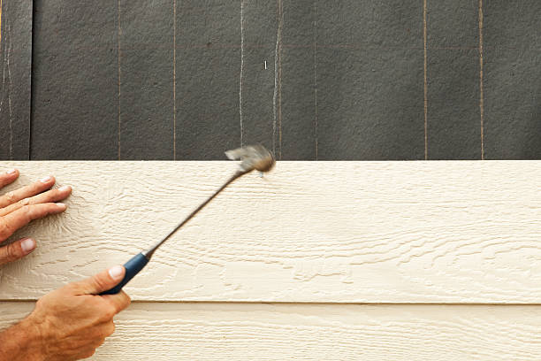 Best Brick Veneer Siding  in Vergennes, VT